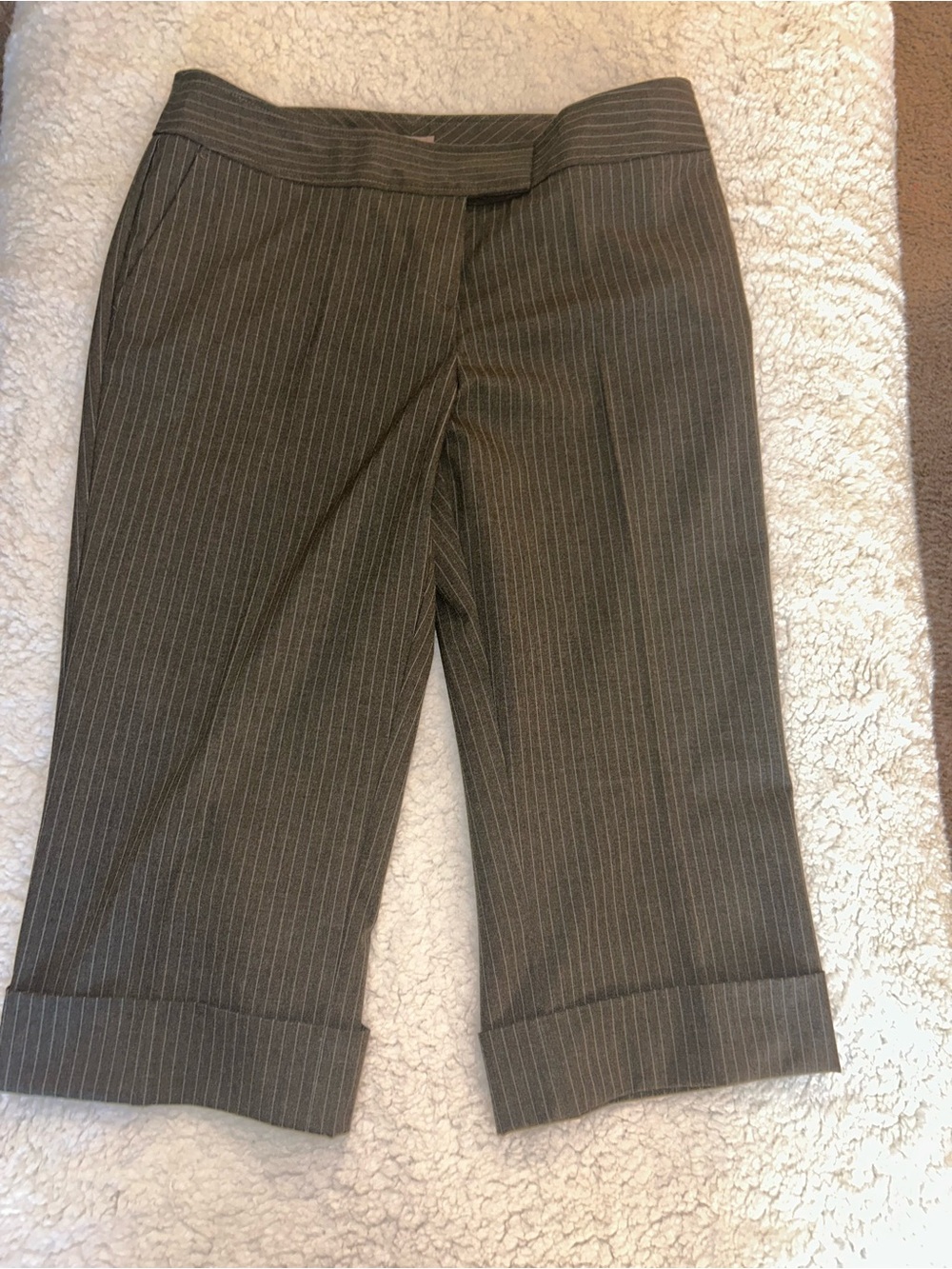 J. Jill Brown Pinstripe Tailored Pants with cream Trim